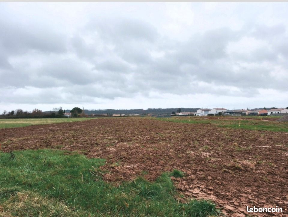 Terrain 494 m² Lagrave · 49 500 €