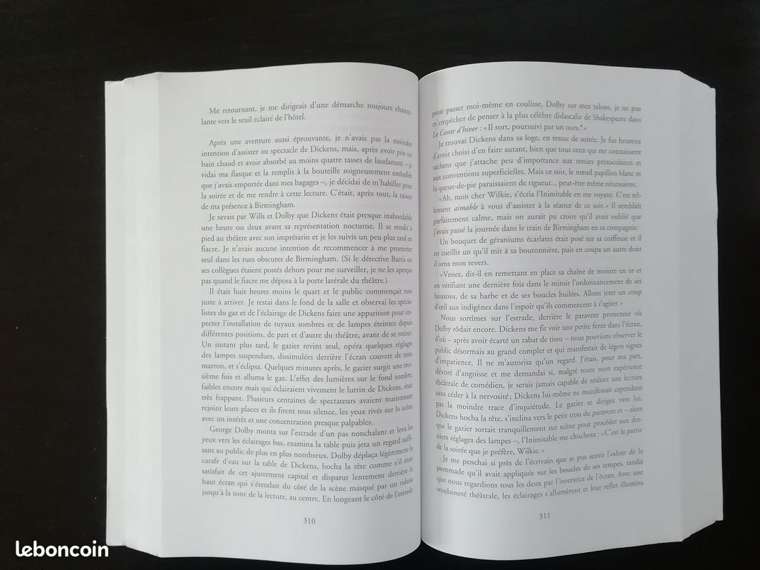 Drood de Dan Simmons (image 4)