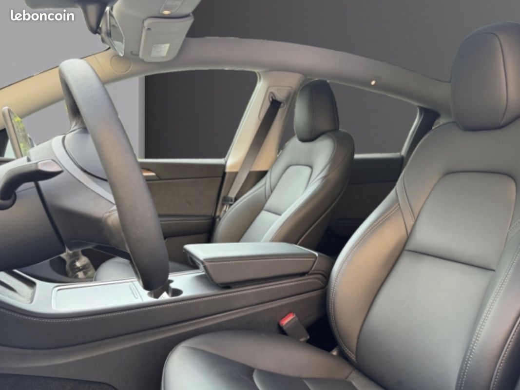 TESLA MODEL Y Standard RWD (image 3)