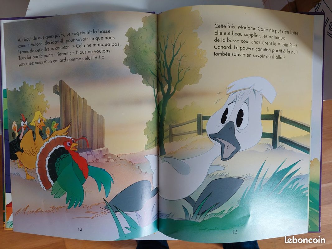 Le vilain petit canard (image 2)