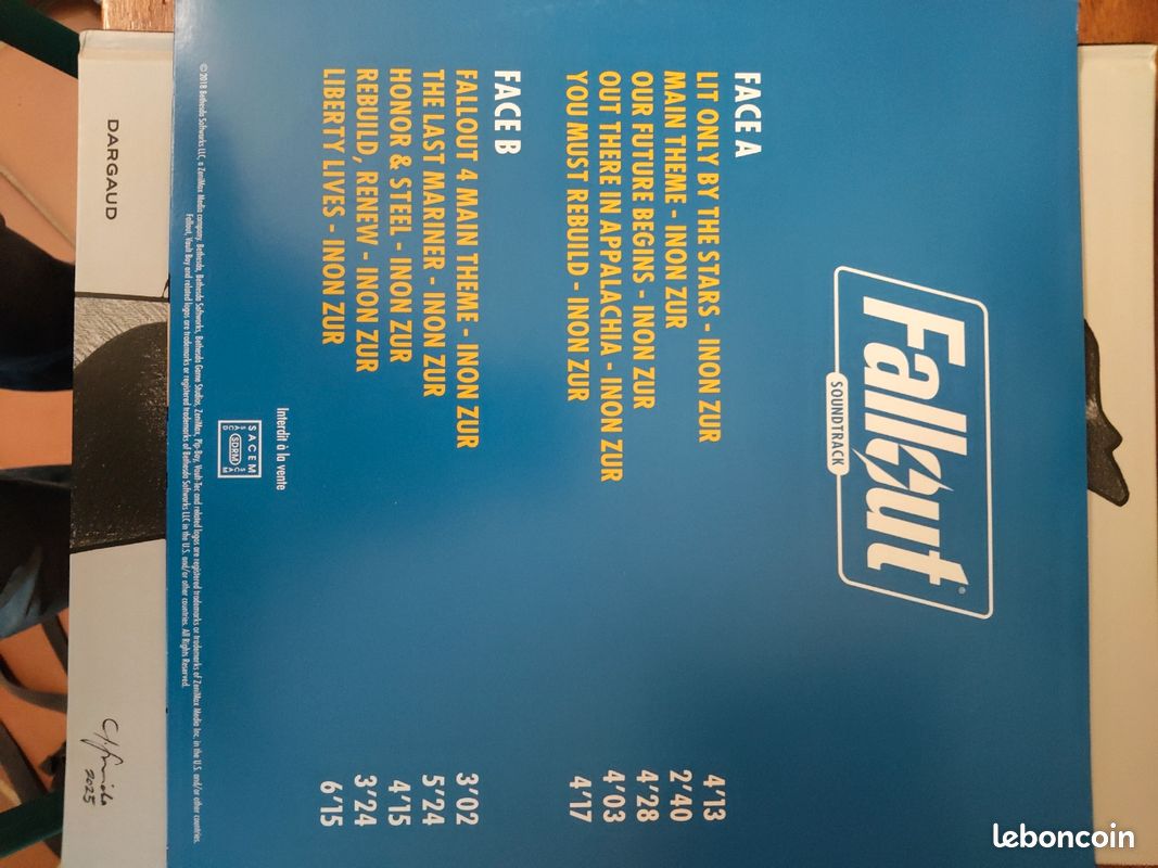 Fall out vinyle (image 4)