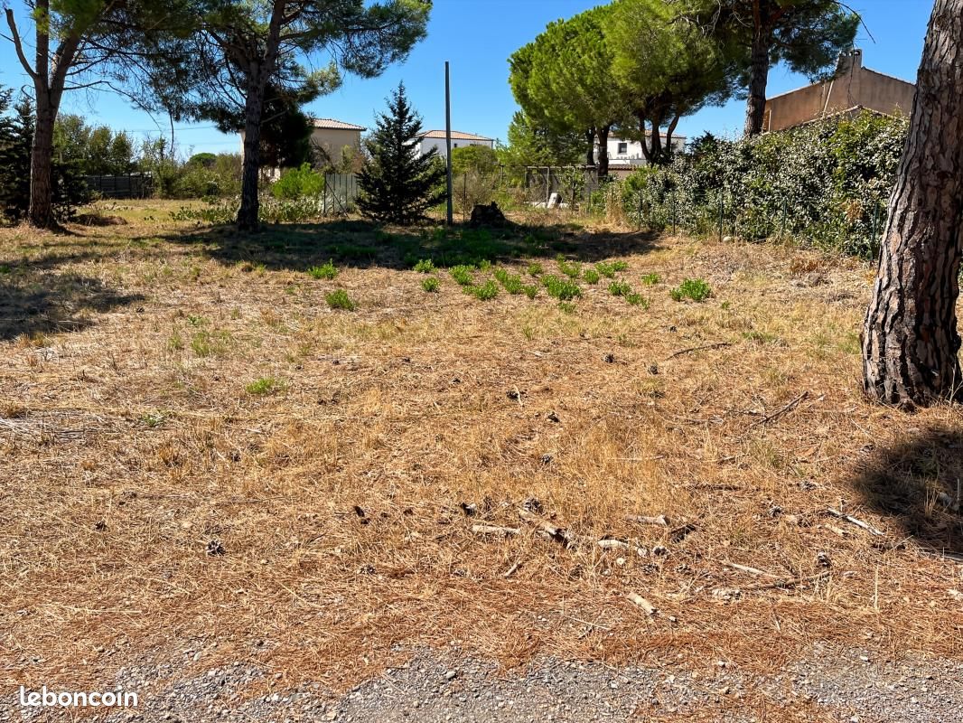 Terrain 1 138 m² Marseillan · 316 000 €
