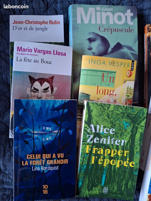 Lot de livres romans divers auteurs (image 2)