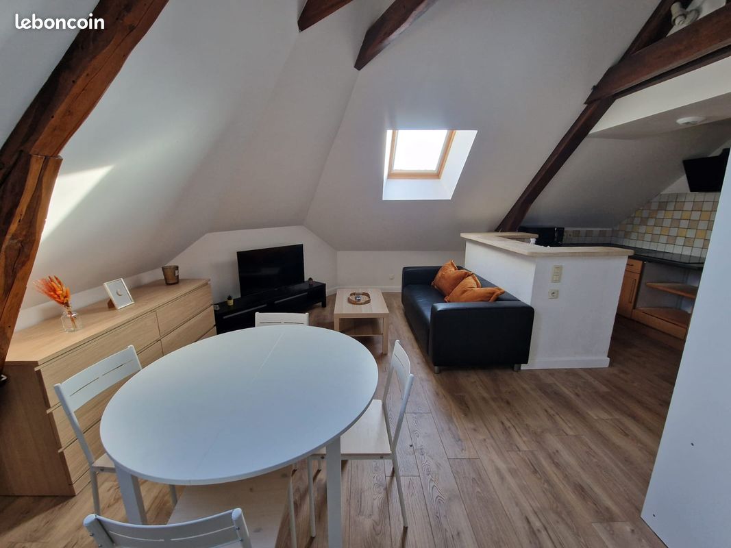 Appartement 1 pièce 39 m² · à Sainte-Savine · 39 m² · 490 €