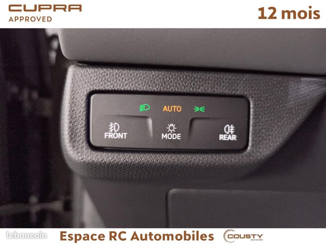 Cupra Terramar 1.5 eHybrid 204 ch DSG6 V (image 21)