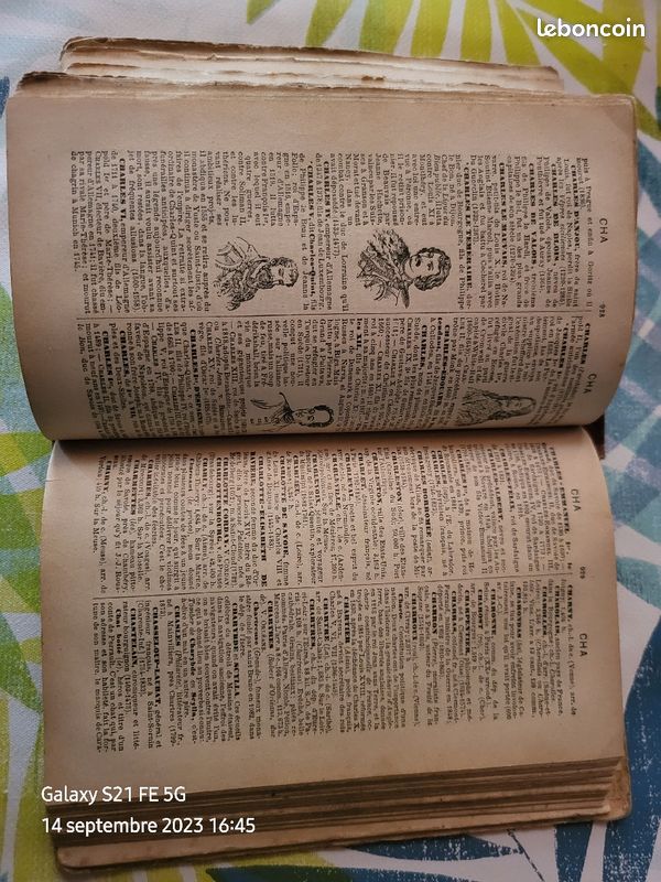 Dictionnaire ancien Larousse (image 4)
