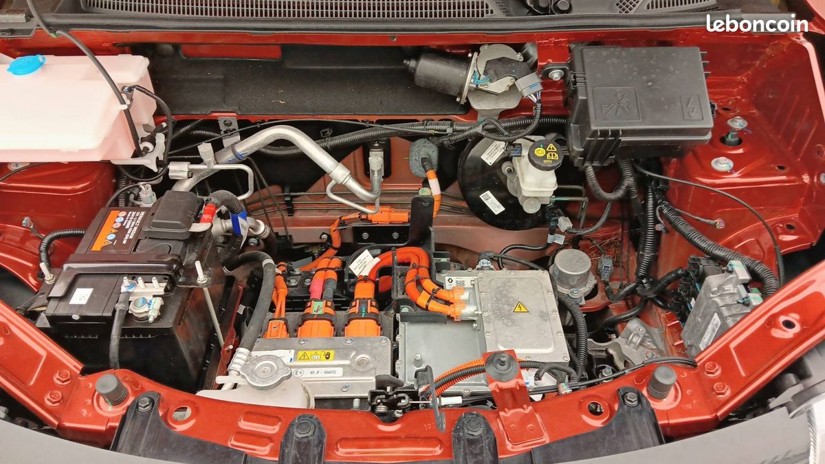 Dacia spring expression (image 21)