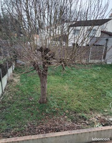 Emplacement toile de tente