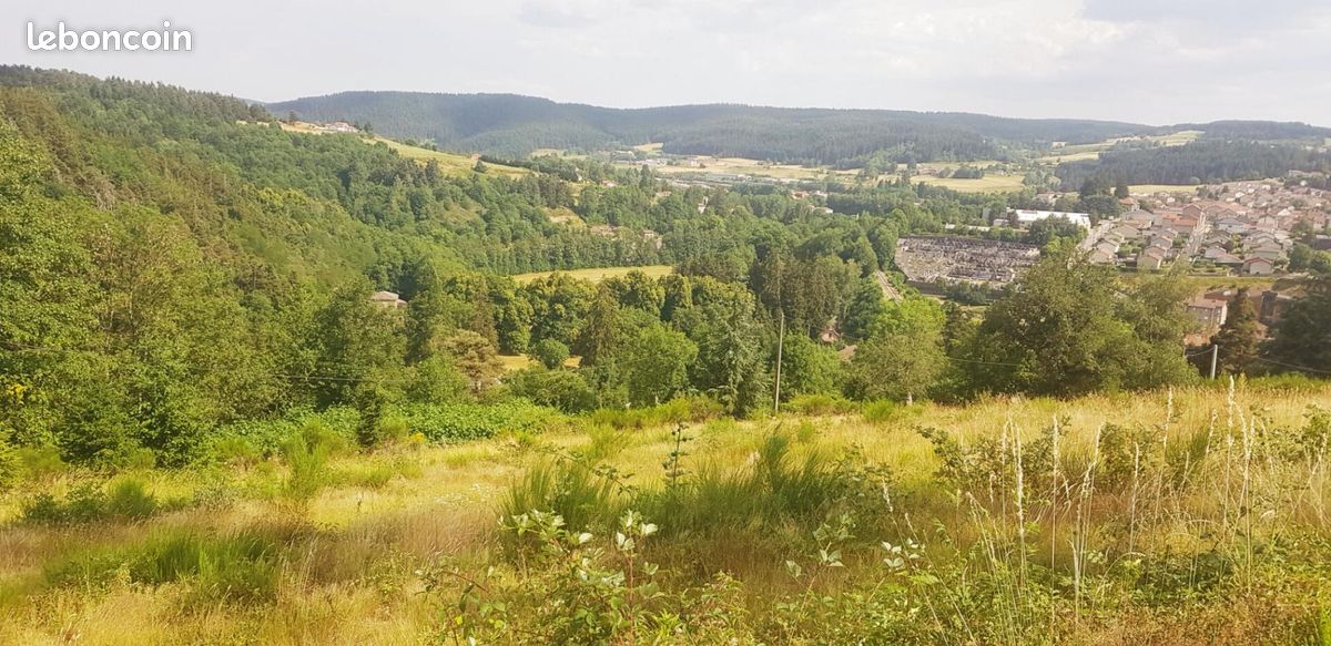 Terrain 1 000 m² Dunieres · à Dunières · 65 000 €