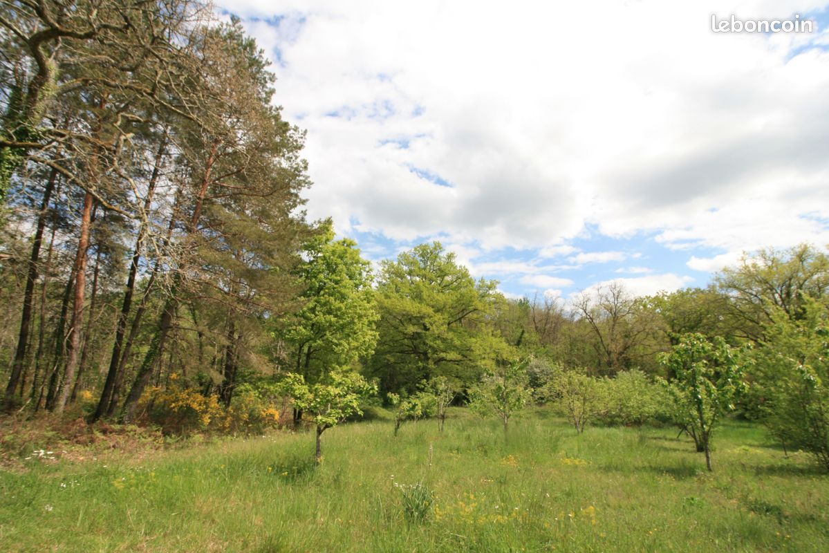 Propriété 10 pièces 346 m² (image 19)