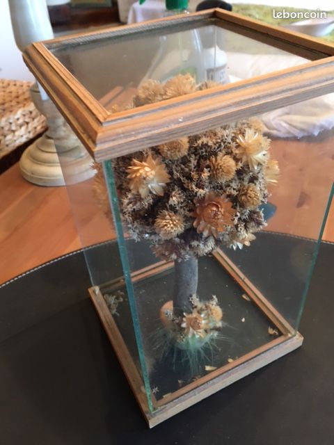 Décoration arbre sous verre (image 1)