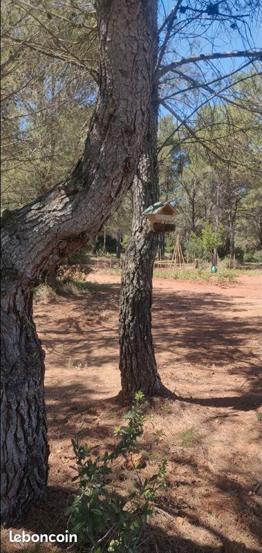 Terrain au calme absolu · à Fabrezan · 16 500 €