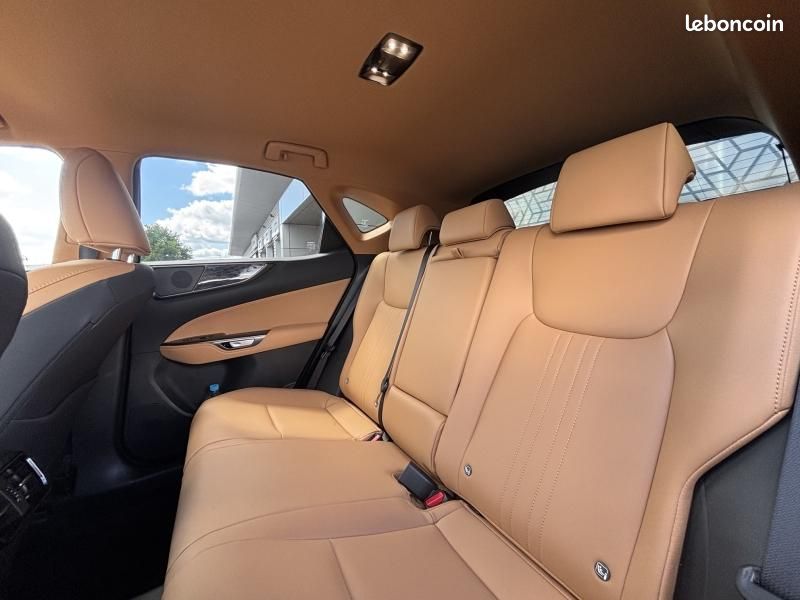 Lexus NX 450h+ Luxe 4WD MY25 (image 16)