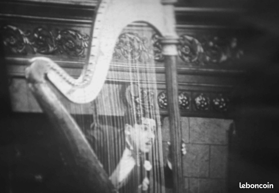 Le roi de la bagarre (Monty Banks-1926) Film 9,5 mm (image 12)