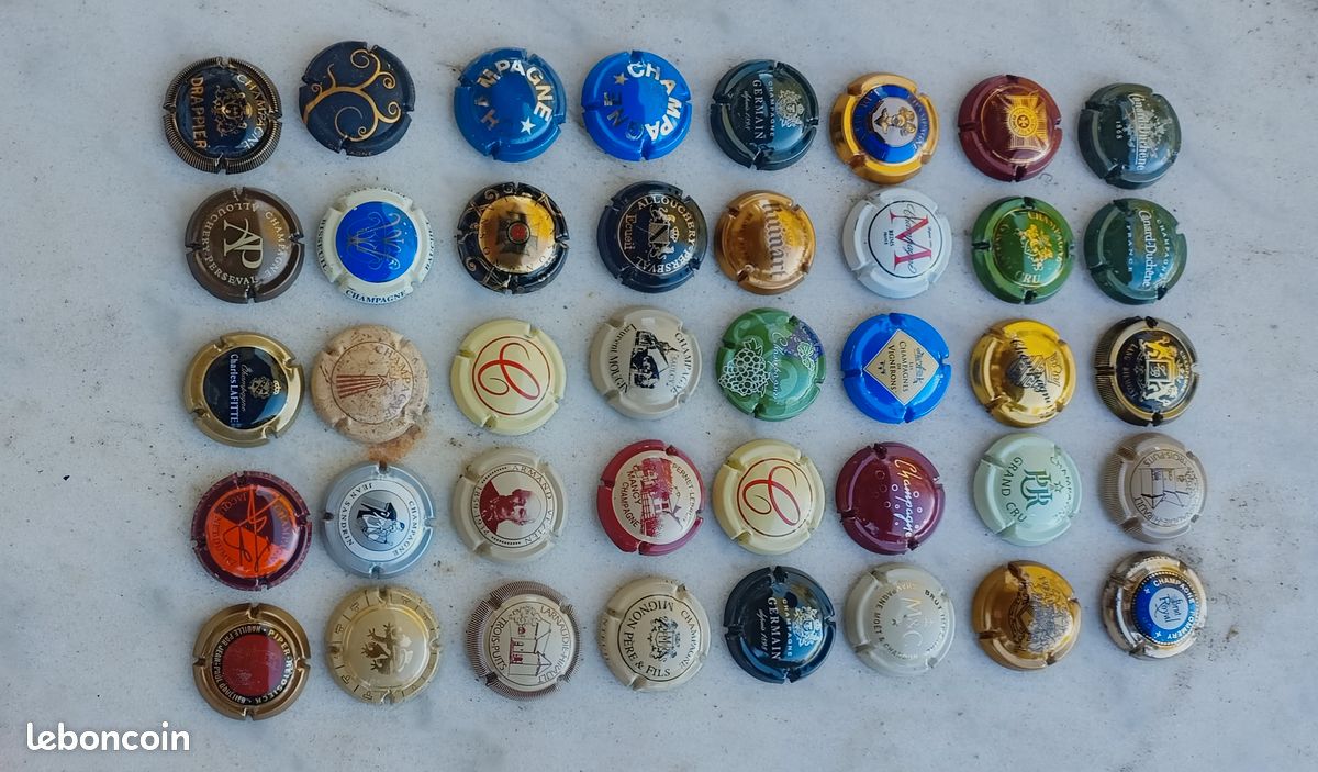75 capsules pour Placomusophile différentes (image 1)