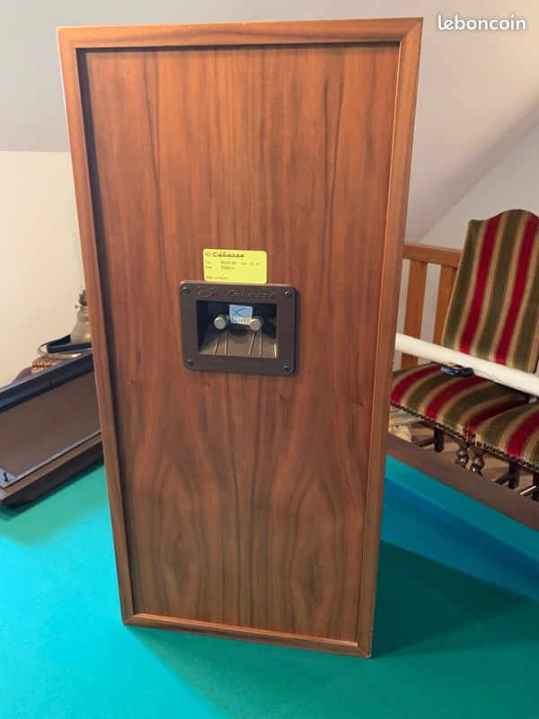 2 enceintes Cabasse 350 w (image 3)