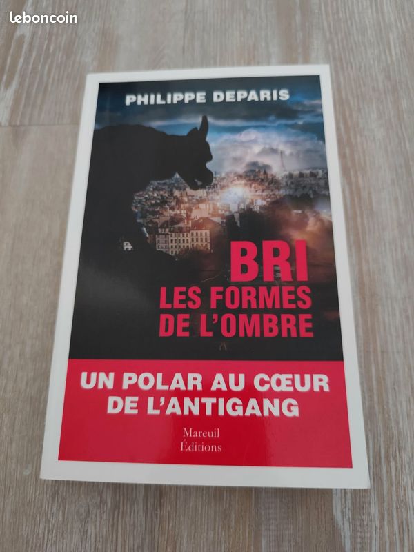 Livre BRI les formes de l’ombre (image 1)
