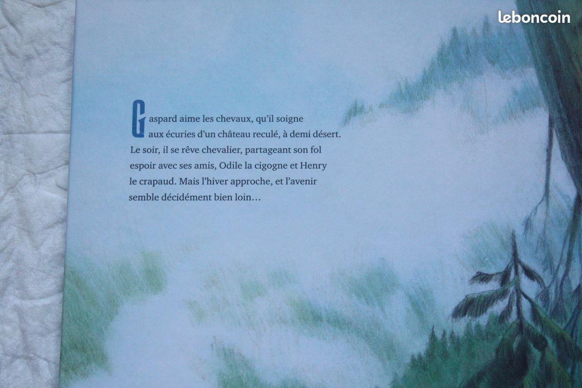 Livre grand format pour enfants LE ROI ET L'ENFANT (image 13)