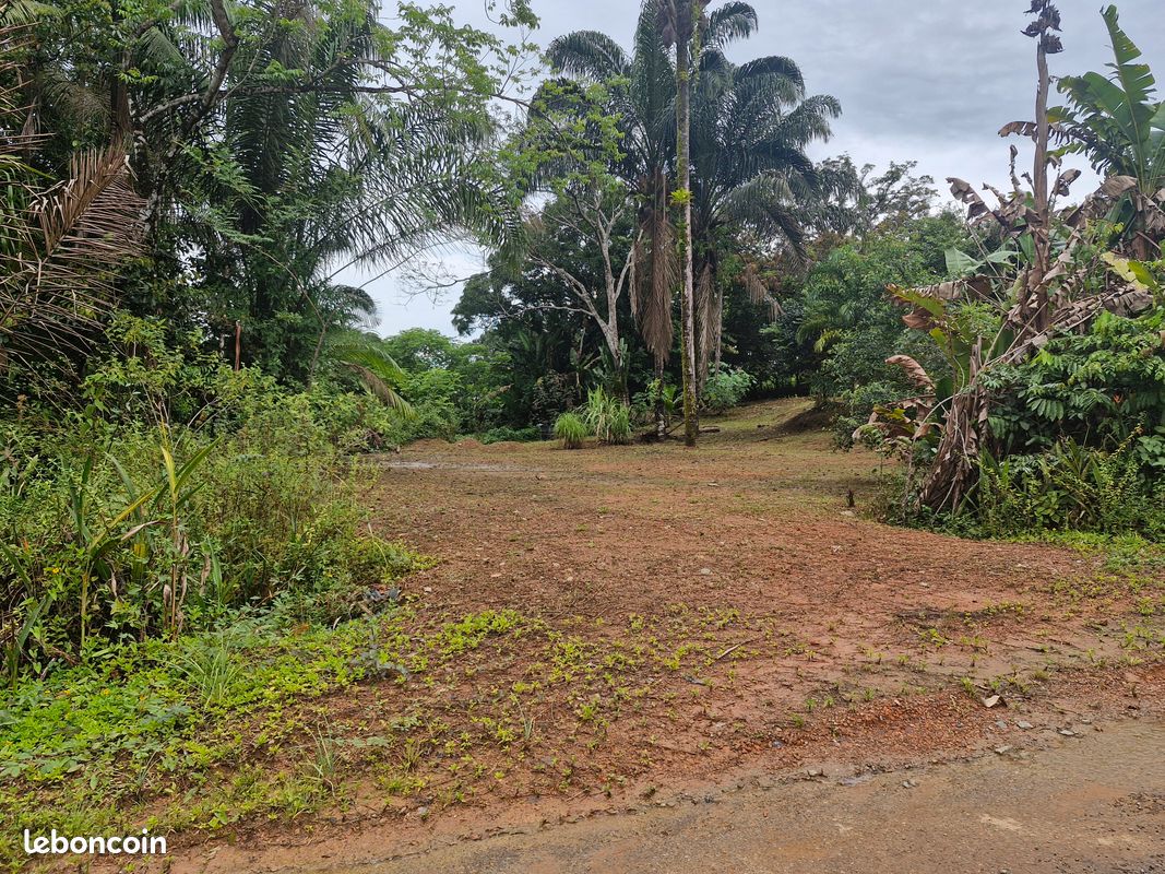 Terrain constructible · à Matoury · 128 020 €