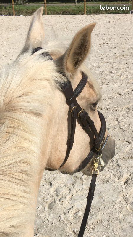 Filet brun taille Cob (image 1)