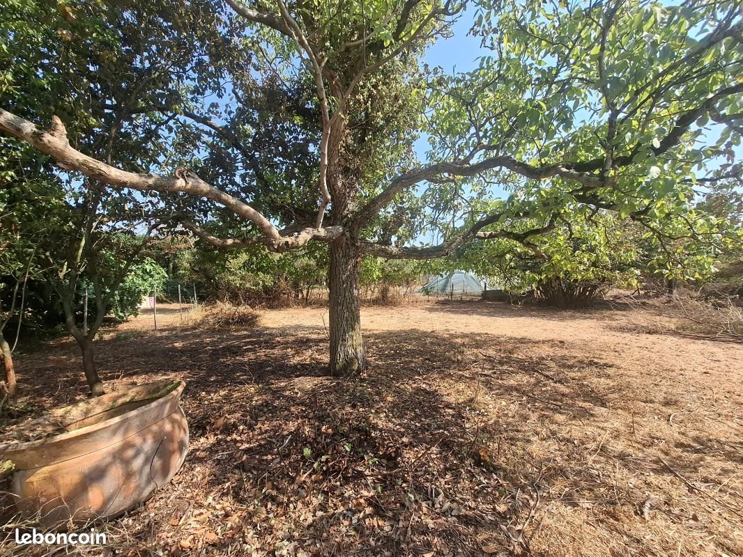 Terrain 1 362 m² Saujon · 107 000 €