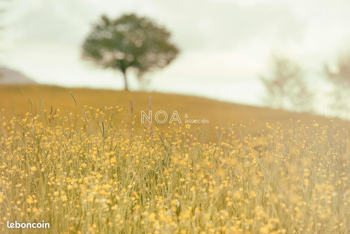 Terrain 458 m² · à Andernos-les-Bains · 458 m² · 291 000 €