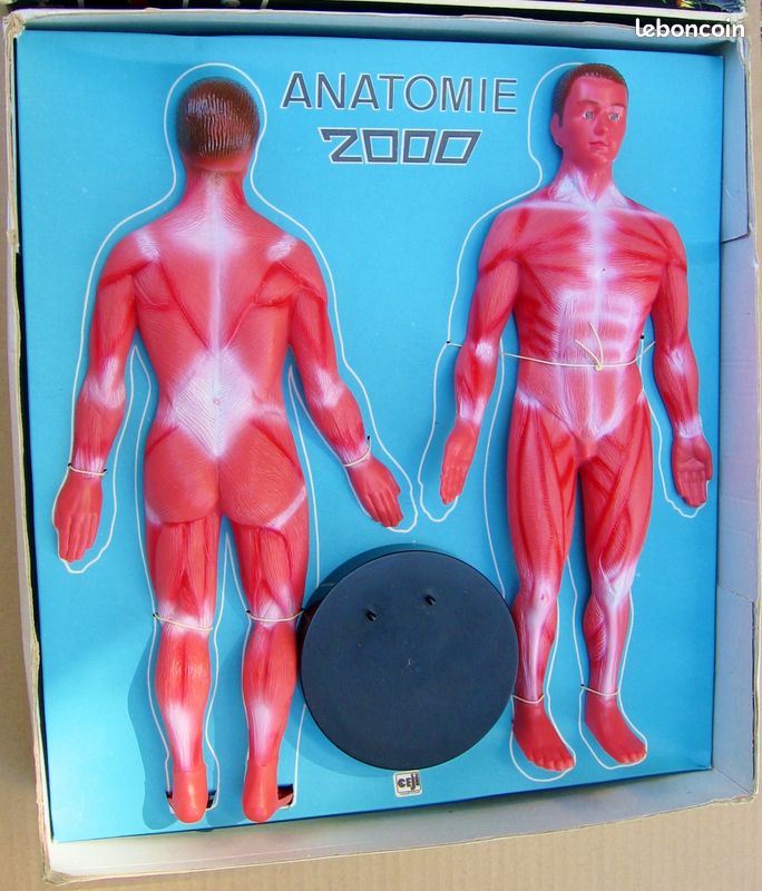 Anatomie 2000 Coffret éducatif Ceji – Apprentissage Ludique Du Corps Humain – Occasion Bon état