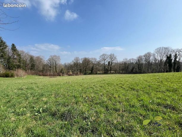 Terrain 1 535 m² Royeres