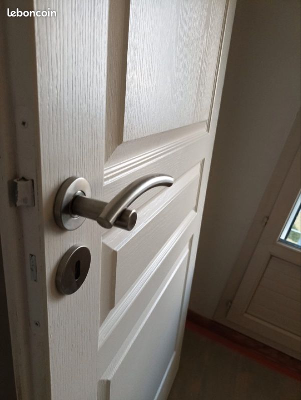 Poignée de porte inox brossé plein (image 3)