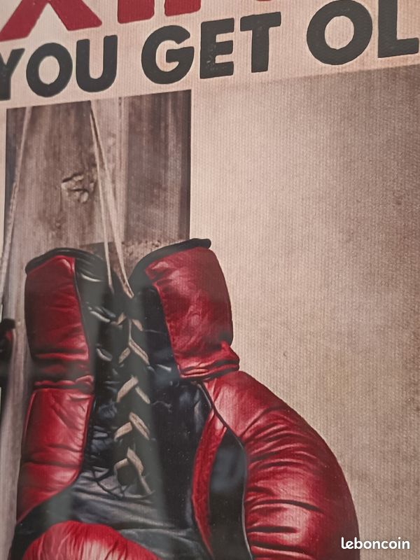 Boxe boxing Poster encadré (image 3)