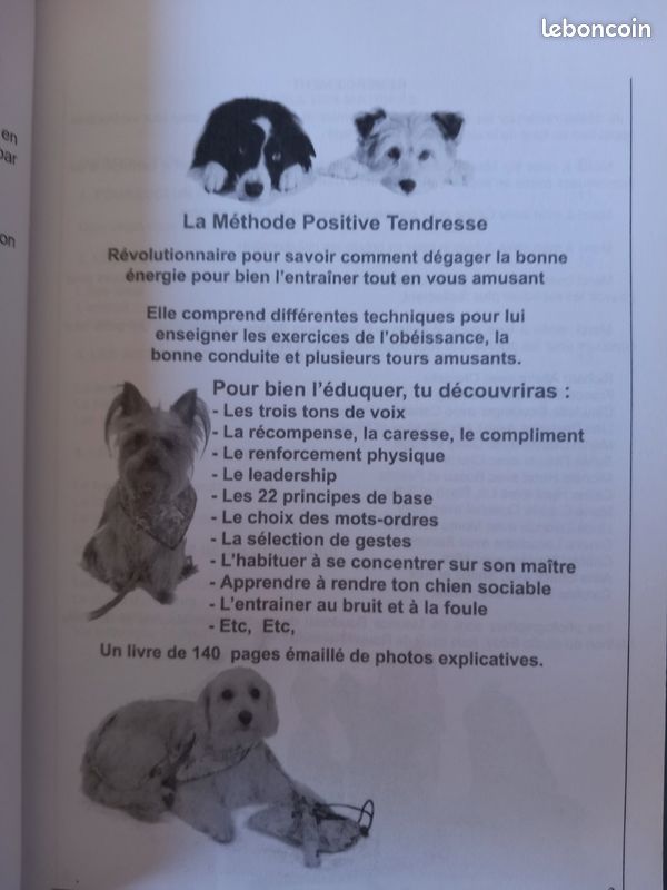 Entraîner ton chien facilement en seulement 15 minutes par jour " découvre la méthode positive tendresse tout en vous amusant " (image 4)