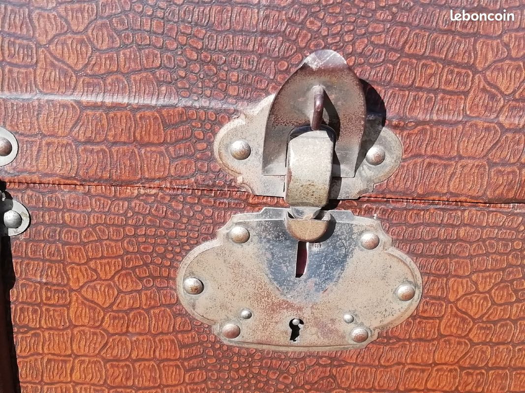 Malle de voyage (coffre) (image 3)