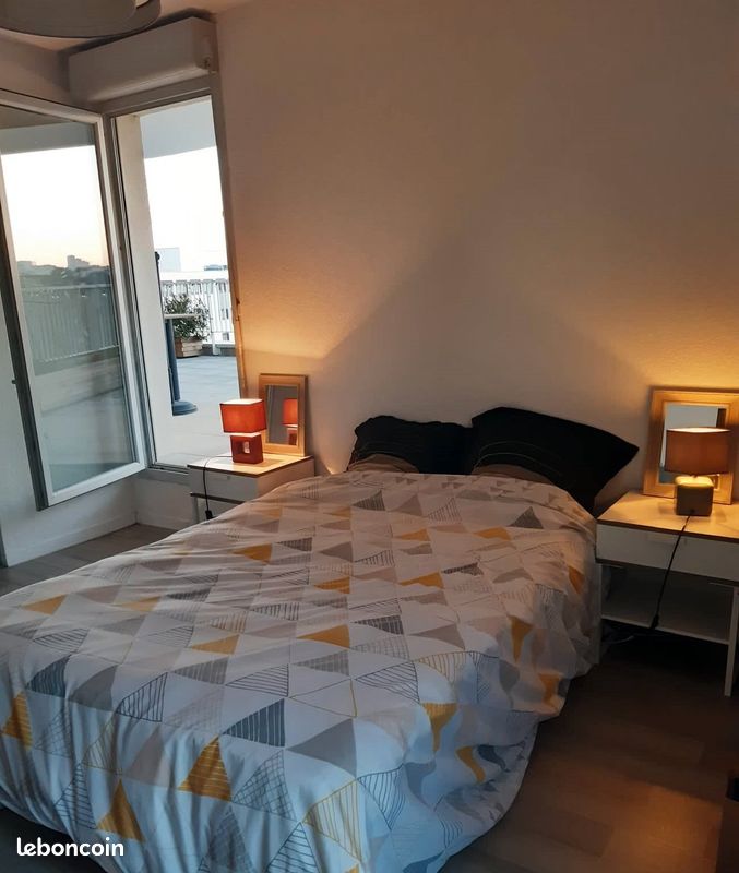 Joli appartement sur les toits de Lyon - Terrasse (image 6)