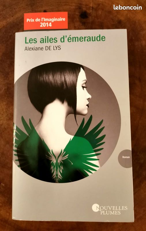 3 beaux romans pour jeunes filles: Jonah, Rose et la princesse disparue, Les ailes d'émeraude (image 3)