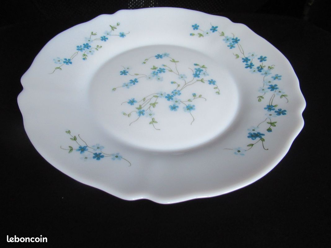 Assiettes Arcopal Myosotis Véronica Vintage
