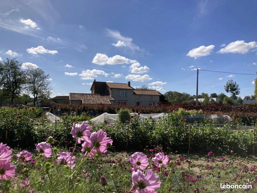 Maison 10 pièces 150 m² · à Parthenay · 150 m² · 245 000 €