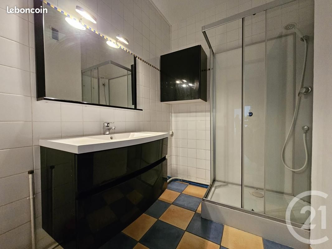 Appartement 3 pièces 75 m² - Limoges 87000 (image principale 7)