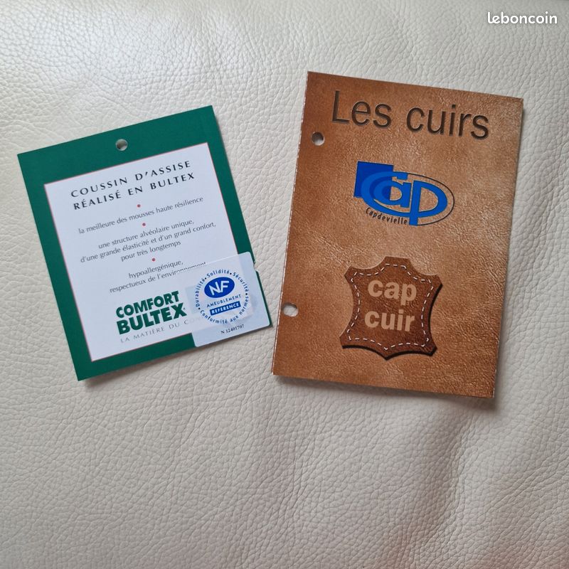 Canapé cuir (image 3)