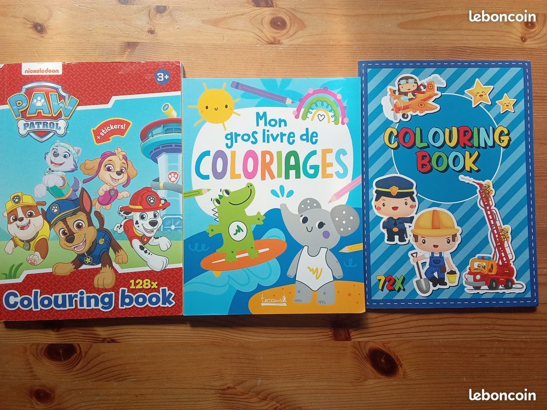 3 cahiers de coloriage pat'patrouille ,le printemps, les métiers (image 1)
