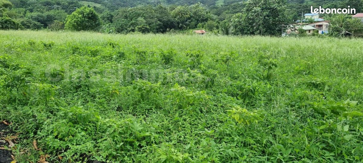 Terrain 5 380 m² Le Lorrain · 149 950 €