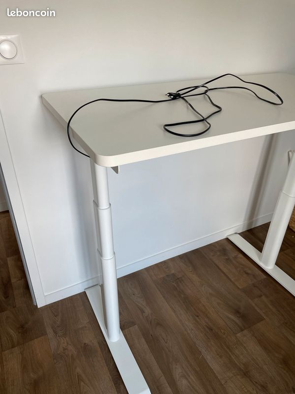 Bureau assis/debout Flexispot (image 3)