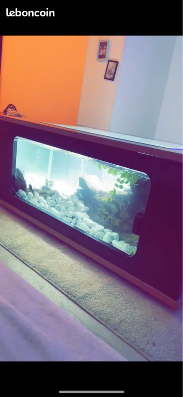 Table aquarium (image 2)