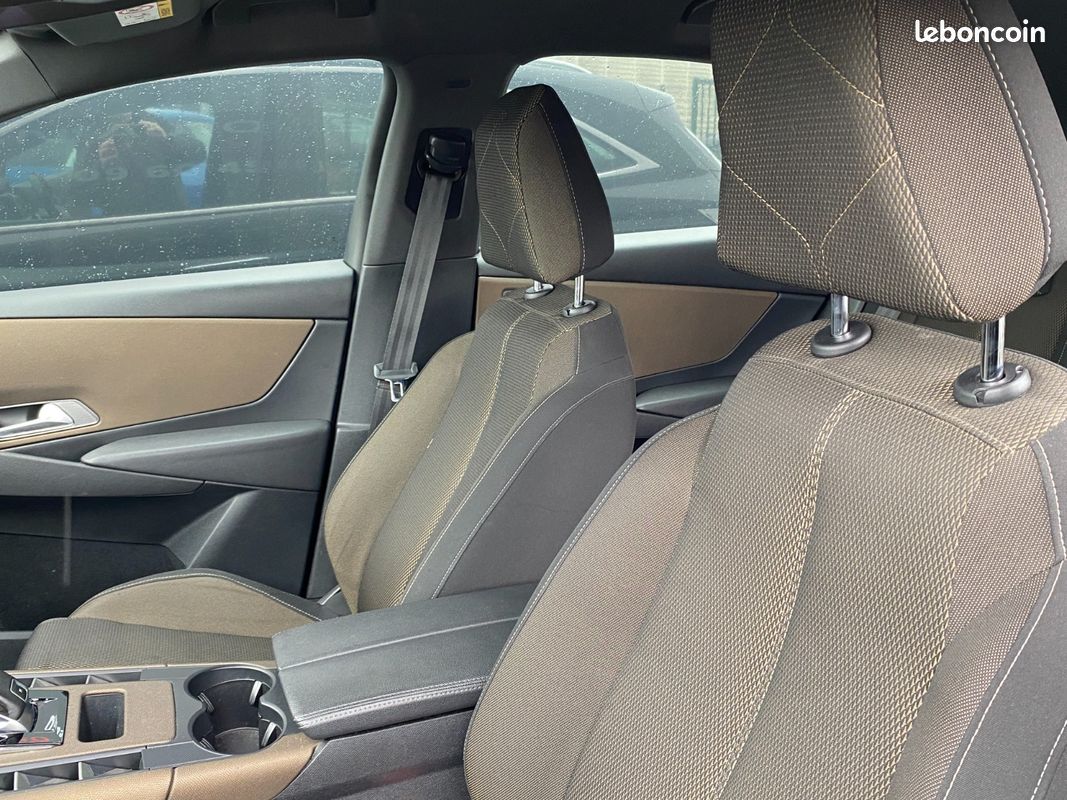 DS DS 7 Crossback Business 2.0L HDI 180 (image 14)