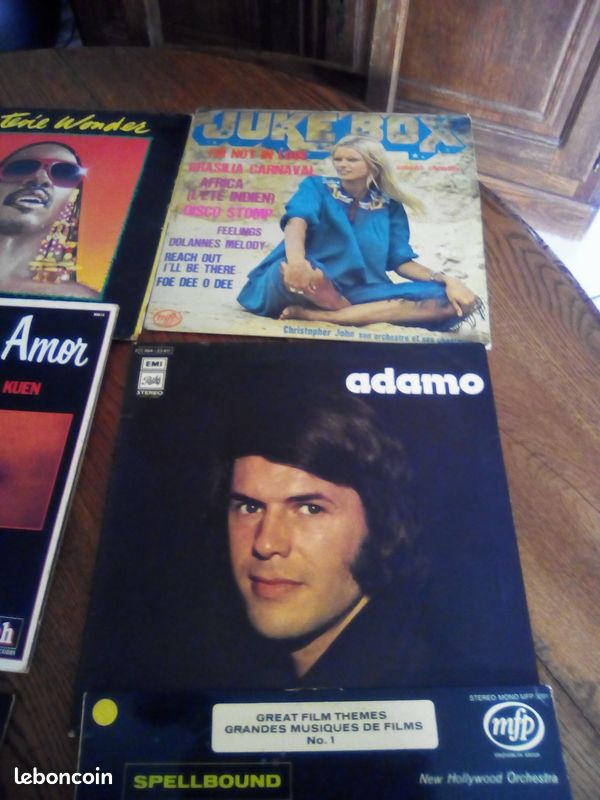Vends 33 tours, vinyles,variété française et autres.Bon état (image 6)