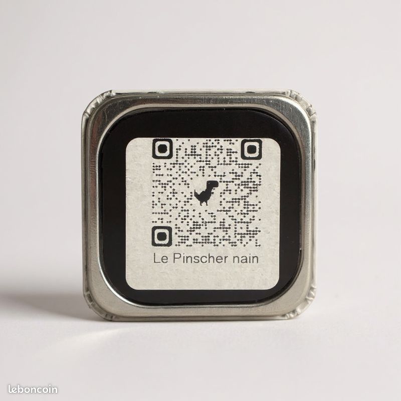 Magnet du chien le Pinscher avec un QR code au dos qui vous dirige sur la fiche de la race du chien (image 2)