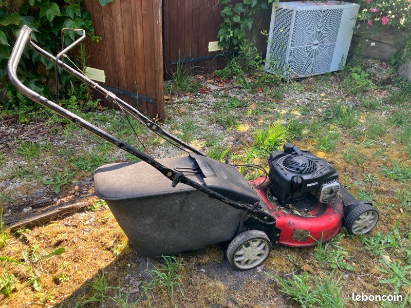Tondeuse à gazon Briggs & Stratton (image 1)