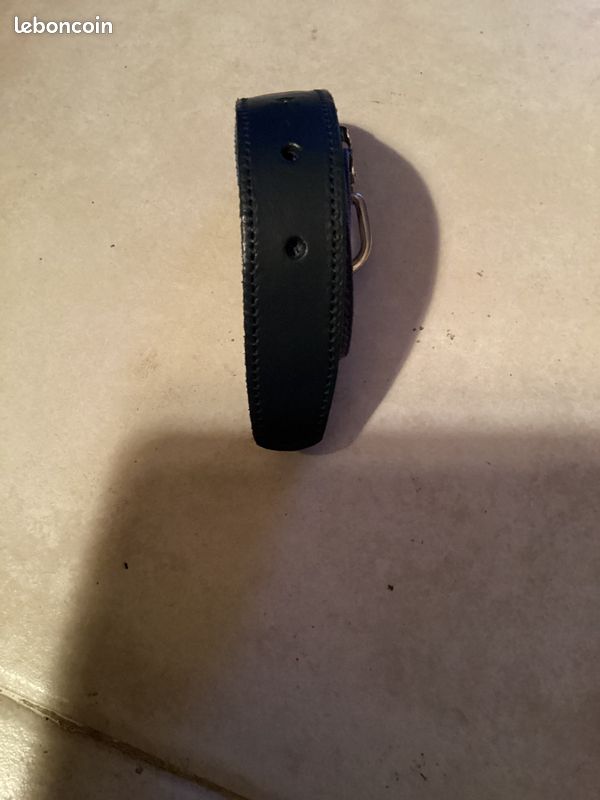 Ceinture Élastiqée Bleue (image 4)