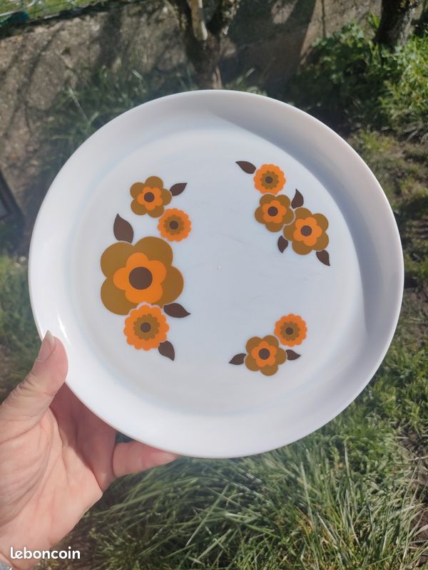 10 Assiettes Arcopal Lotus Fleurs Orange Vintage - Occasion (6 Creuses + 4 Desserts)