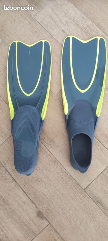 Paire de palmes (image 1)