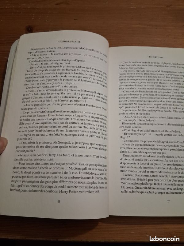 Tome 1 grand format (image 11)